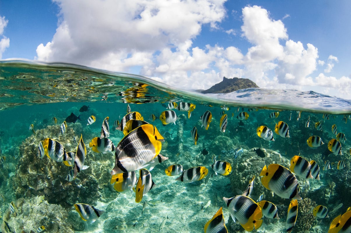 French Polynesia - South Pacific Ocean